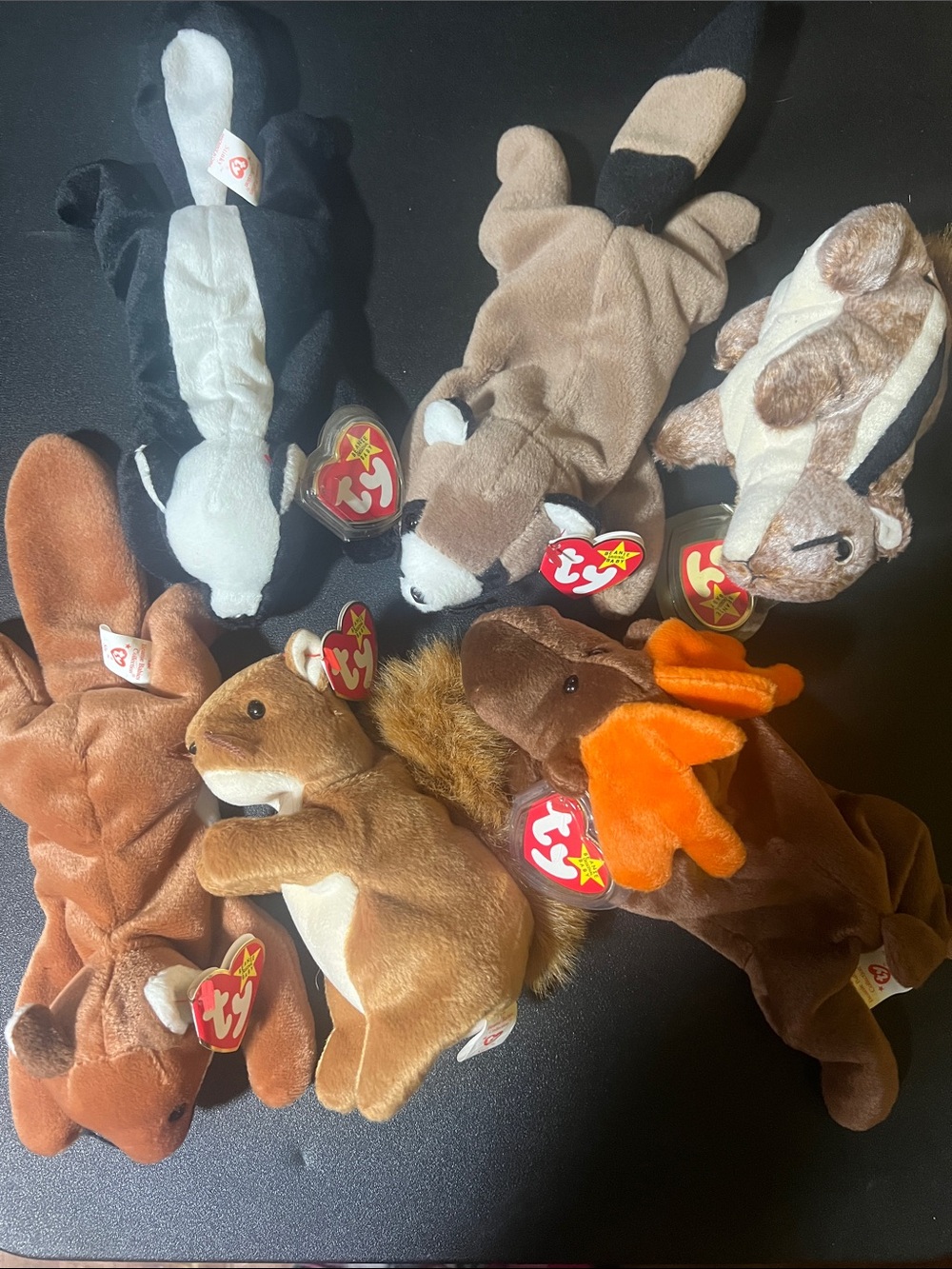 TY Beanie Babies Plush Animal Bundle - Assorted Brown, Black, White, Orange(6)